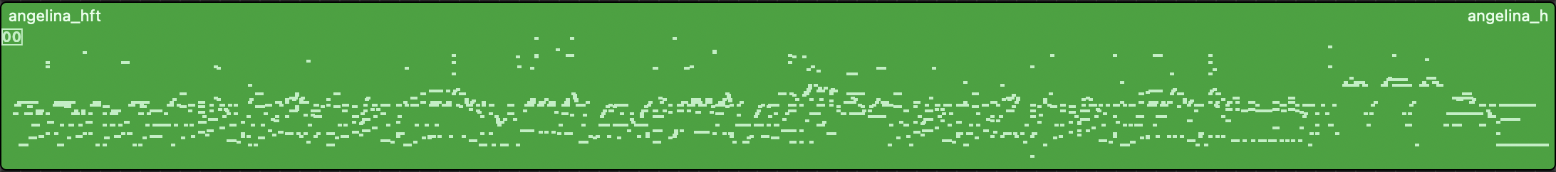hFT